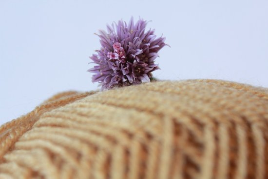 canva chives flower MADFBt8v564