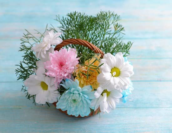 canva chrysanthemum in basket MAD MWsuPak