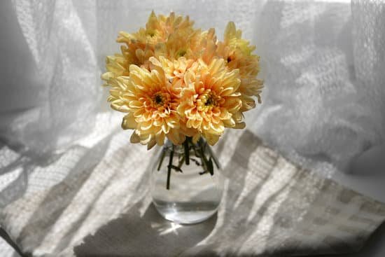 canva chrysanthemums in vase on fabric MAD Mdp VPU