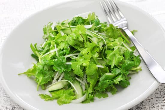 canva cilantro salad coriander salad MADE qtUOTU