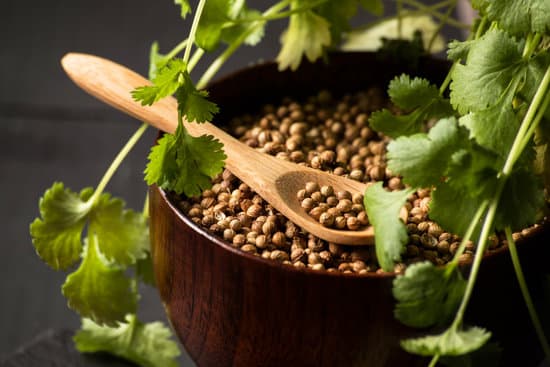 canva cilantro seeds and leaves on a wooden bowl