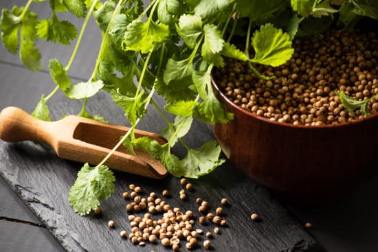 canva cilantro seeds in a bowl MAEQrJenWtk