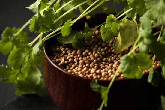 canva cilantro seeds on a bowl MAEQrMTyj1Y