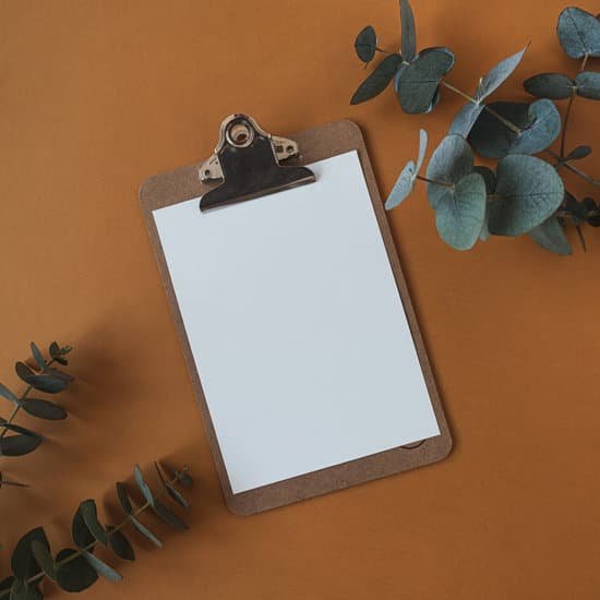 canva clipboard with blank sheet of paper and eucalyptus sprigs MAD9Xmoa iI