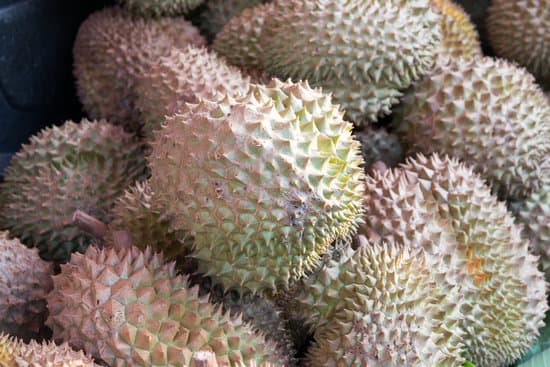 canva close up of durians MAEQ7JFLJhw