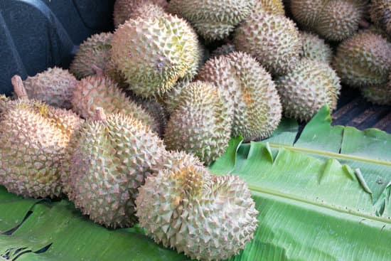 canva close up of durians MAEQ7JozkSg