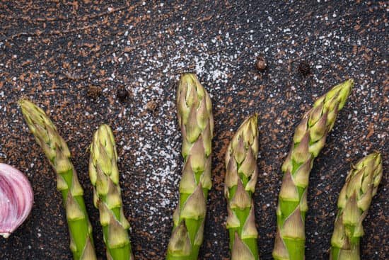 canva close up of green asparagus MAEAyNhP6Lw