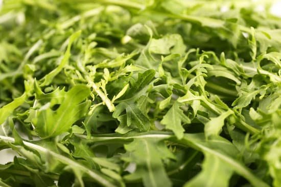 canva closeup of arugula MAD QsZImyw