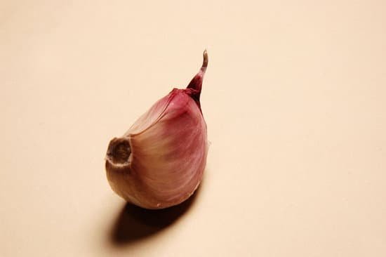 canva clove of garlic MAD R2G0wk