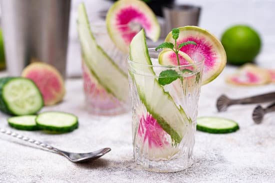 canva cocktail with cucumber and radish MAECHCaj Fc