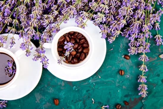 canva coffee with lavender flowers MAEERvlzi8U