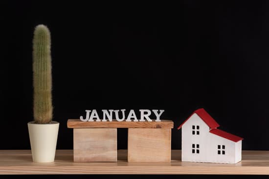 canva composition of wooden model house january and cactus in pot MAEOPBKwGrM