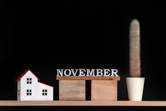 canva composition of wooden model house november and cactus in pot MAEOPNjprOg