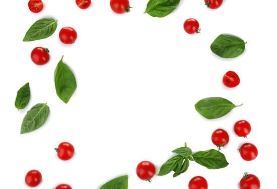 canva composition with cherry tomatoes and green fresh organic basil