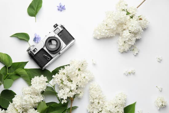 canva composition with lilac flowers and photo camera on white background MAD9XObzZDs