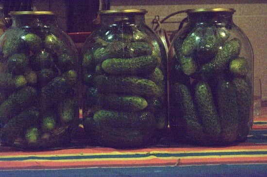 canva conservation cucumber MADCU9LzpoY