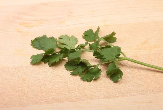 canva coriander or cilantro isolated on wooden background. MADFi5Hmg80