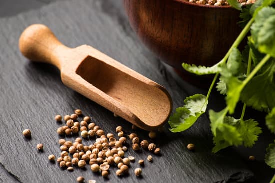 canva coriander seeds and cilantro on a stone board MAEQrNZzsfs