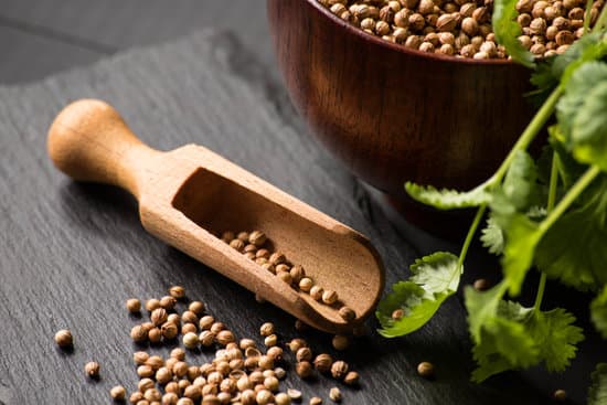 canva coriander seeds and fresh cilantro on a stone board MAEQrC0zk3k