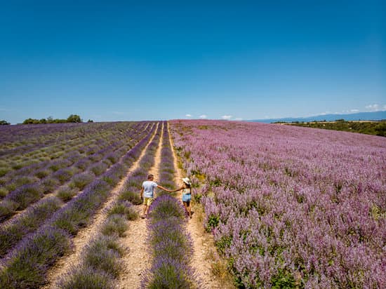 canva couple walking along the lavender fields in ardeche france MAER3QD9mc4