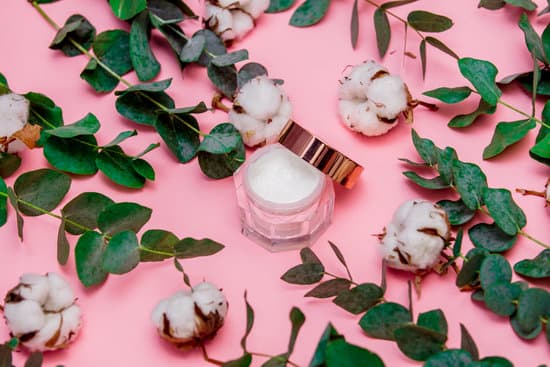 canva cream in jar with branches of cotton and eucalyptus