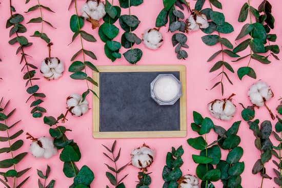 canva cream on blackboard on pink background with eucalyptus and cotton MAEPyyz1F64