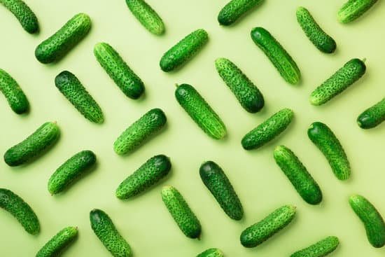 canva creative pattern of fresh cucumbers MAC WU0R3C8