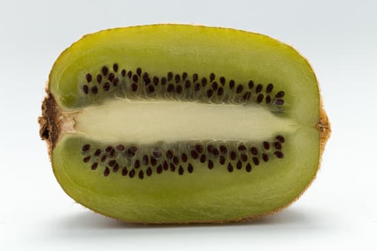 canva cross section of a kiwi MAEliDNpiJM