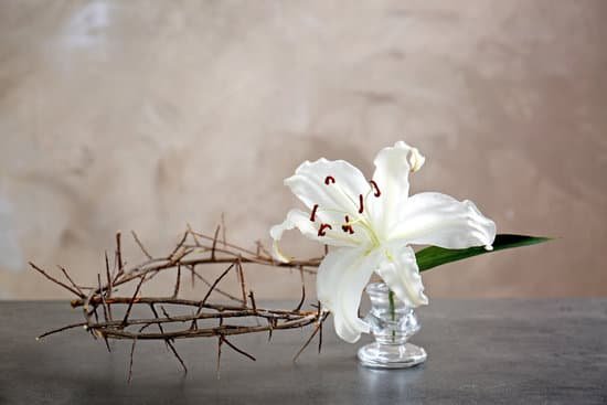 canva crown of thorns and white lily on beige background MAD9aQwMhTo