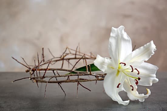 canva crown of thorns and white lily on beige background MAD9ac2CIOk