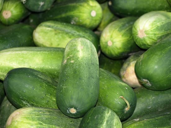 canva cucumber MAC6mZg5ysE
