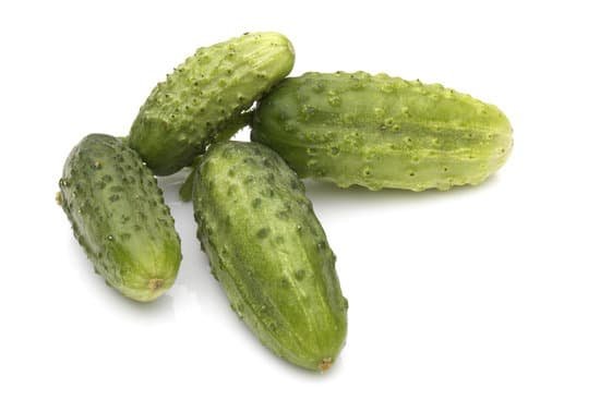 canva cucumber