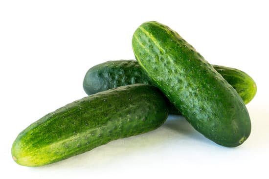 canva cucumber MAC 4N237qc