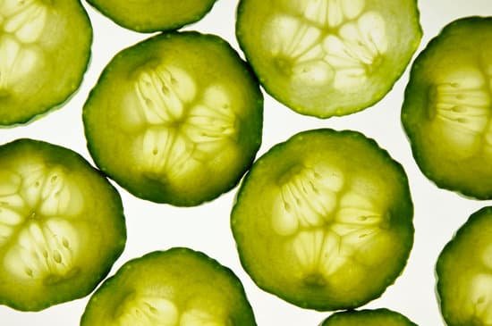canva cucumber MADAH6kycDI