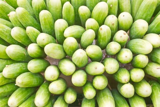 canva cucumber MADB7SUsfq4