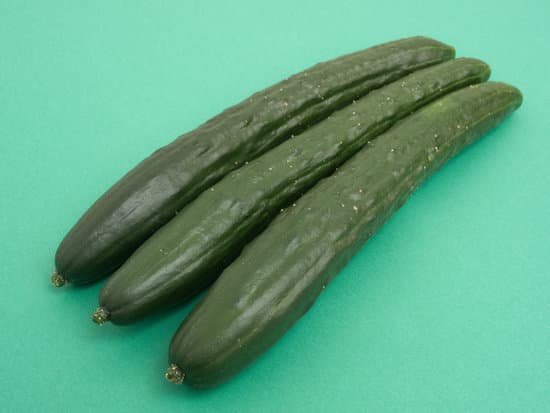 canva cucumber MADqHwMAwnY