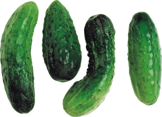 canva cucumber MAEZeeslInU