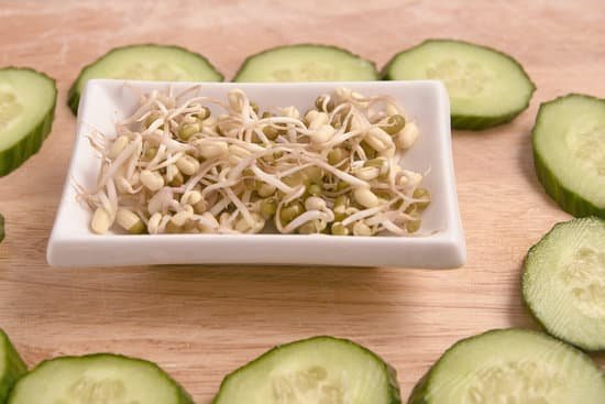 canva cucumber slices and bean sprouts on a table MAEAU3tcCg8