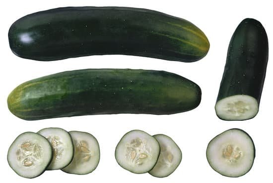 canva cucumbers MAC77fPJtow