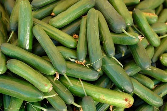 canva cucumbers MAC8Ljmqwyw
