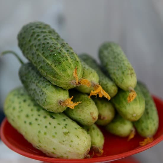 canva cucumbers MADBuiT7GZk