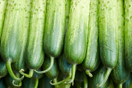 canva cucumbers