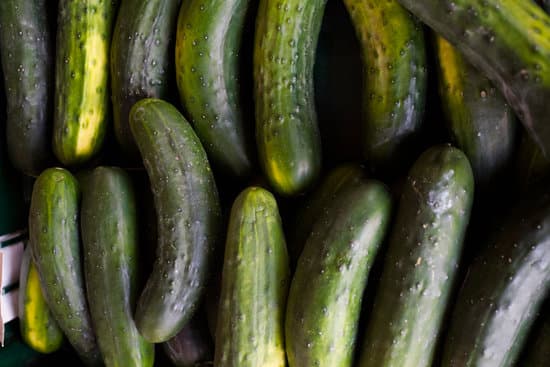 canva cucumbers