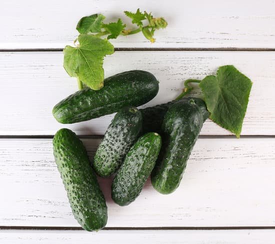 canva cucumbers on light wooden background MAD MpCMzpY