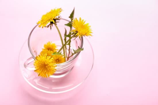 canva cup with dandelions on color background MAD8BQDQoYg