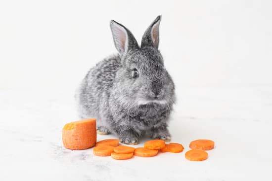 canva cute funny rabbit eating carrot on light background MAEWeY Nf6E