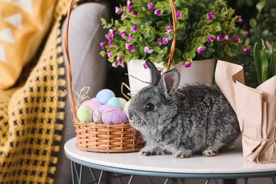 canva cute rabbit and basket with easter eggs on table MAEWeaULi c