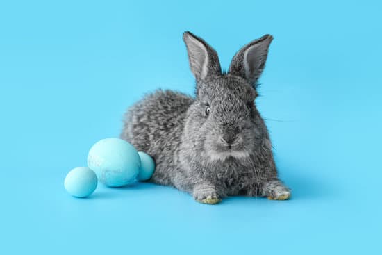 canva cute rabbit and easter eggs on color background MAEWeV9tgBM