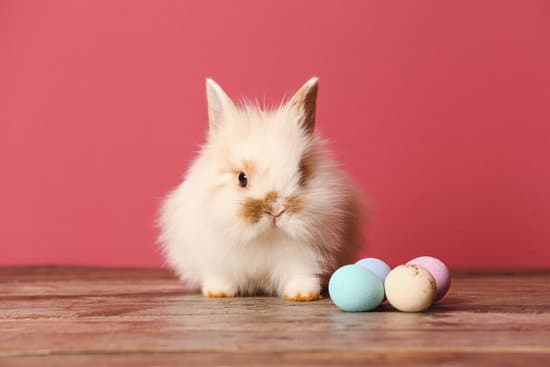 canva cute rabbit and easter eggs on color background MAEWeXMTZZI