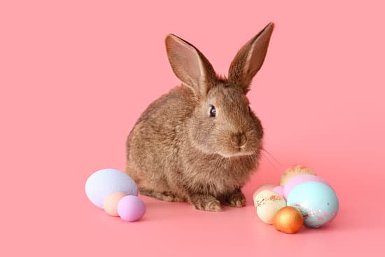 canva cute rabbit and easter eggs on color background MAEWeXRtUEY